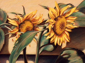Sunflowers 1 pastel painting