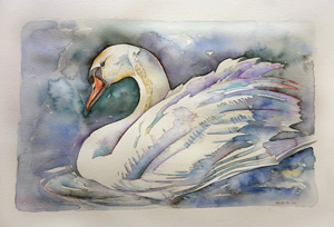 swan